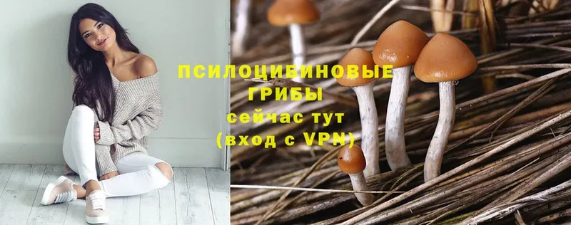 Псилоцибиновые грибы MAGIC MUSHROOMS  это формула  Электроугли 